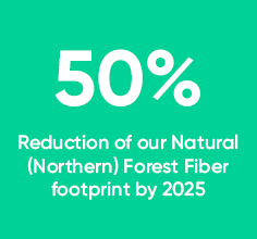 S2030 Fact Box 2 Forests